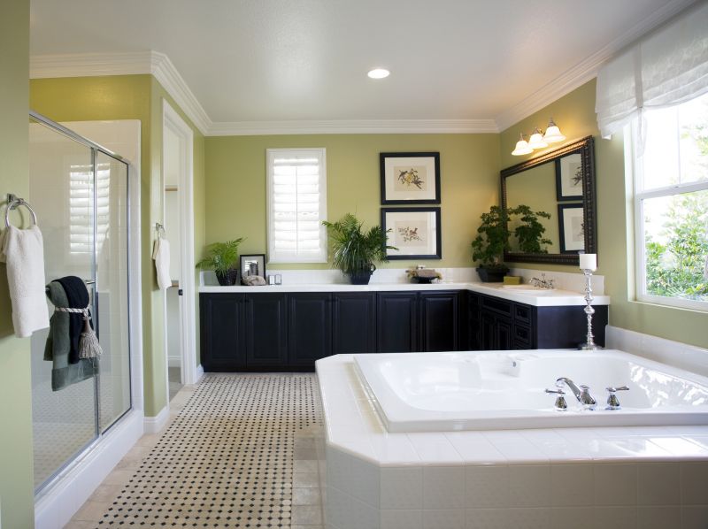 Elegant Bathtub to Shower Conversions
